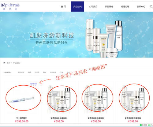 上海派網(wǎng) 一站式網(wǎng)站建設與SEO優(yōu)化專家，助力企業(yè)在滬騰飛